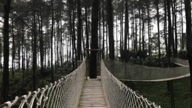 piknik di bandung